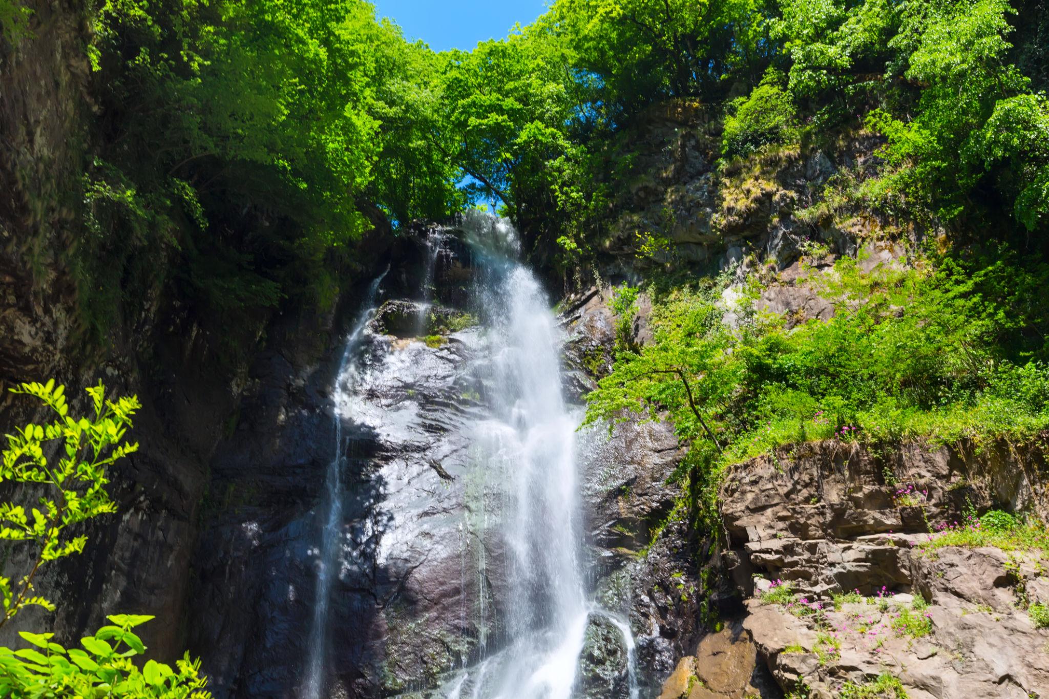 Tour in Adjara — Discover the Beauty of the Region