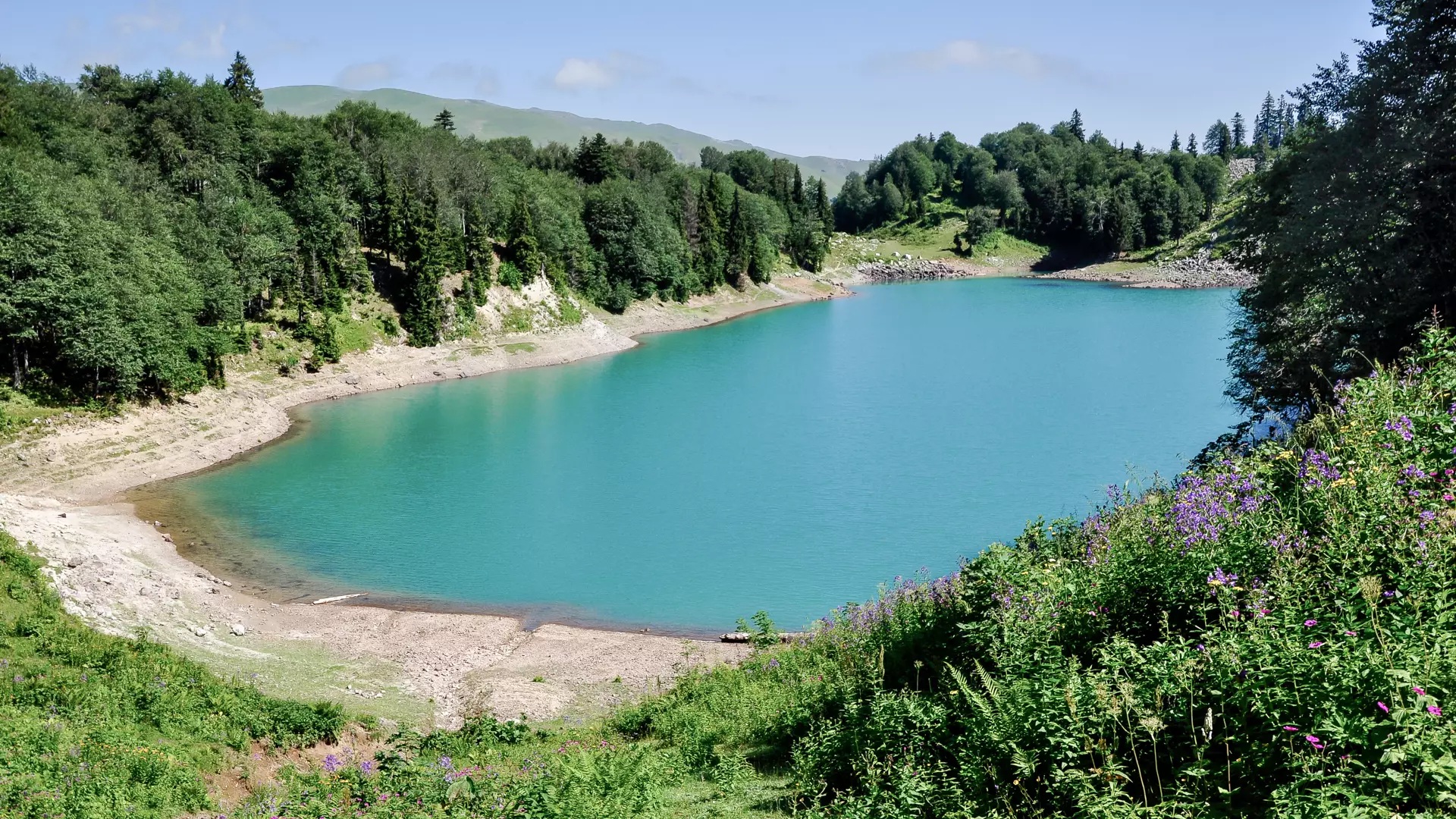 Зелёное озеро