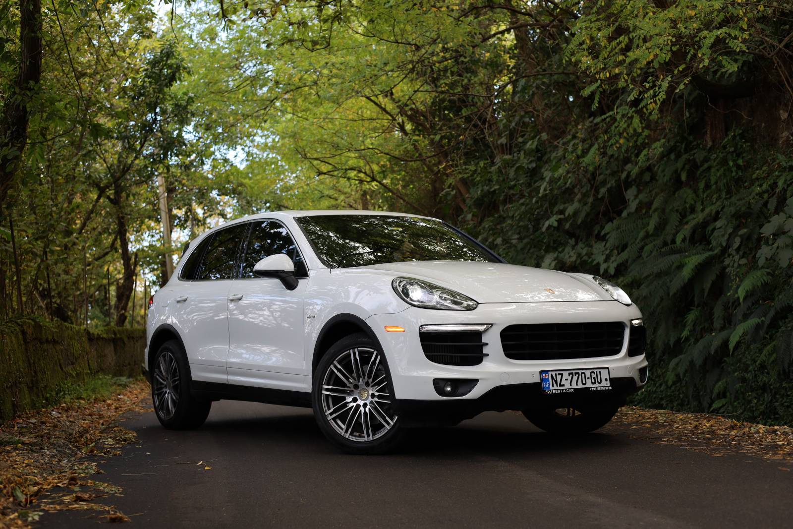Porsche cayenne